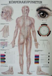 Bild Akupunktur